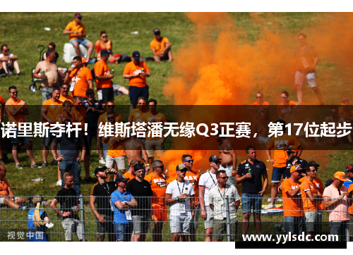 诺里斯夺杆！维斯塔潘无缘Q3正赛，第17位起步